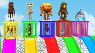 Web Development Course